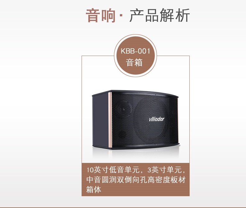 KBB001+专业高级10寸KTV音箱（一对）